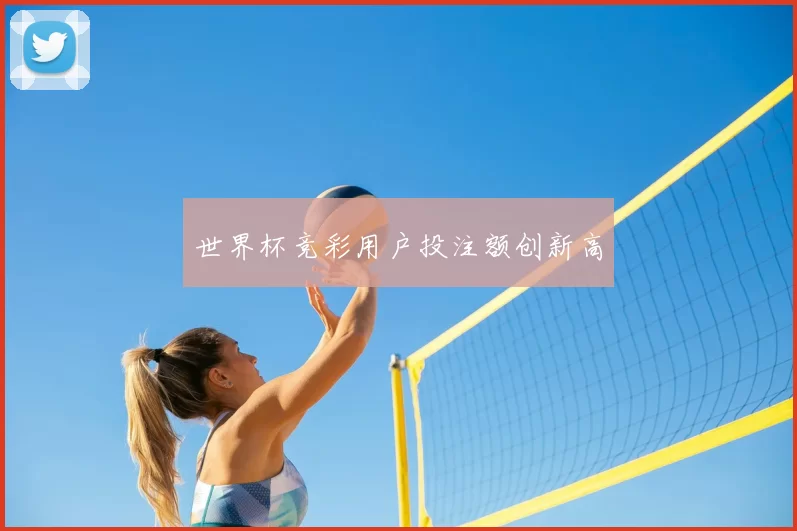 世界杯竞彩用户投注额创新高