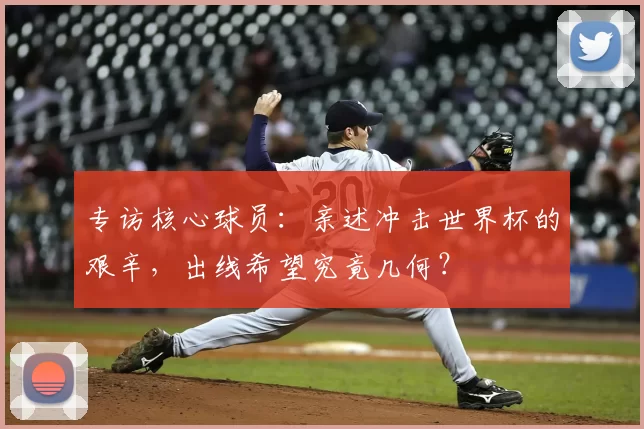 专访核心球员：亲述冲击世界杯的艰辛，出线希望究竟几何？