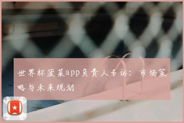 世界杯菠菜app负责人专访：市场策略与未来规划