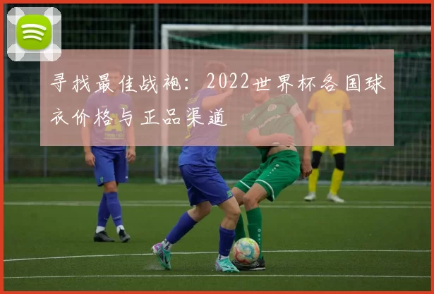 寻找最佳战袍:2022世界杯各国球衣价格与正品渠道