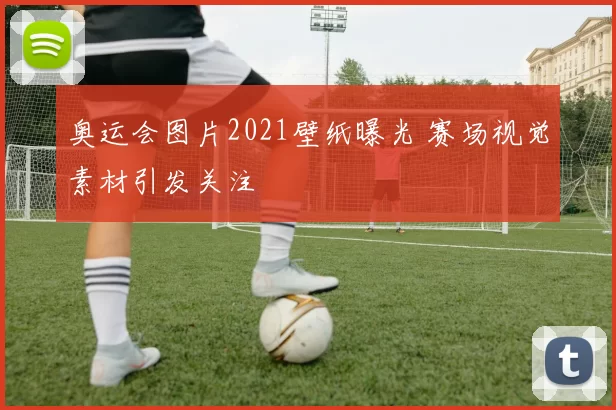 奥运会图片2021壁纸曝光 赛场视觉素材引发关注
