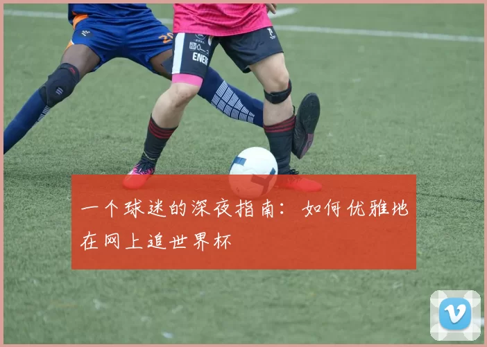 一个球迷的深夜指南:如何优雅地在网上追世界杯