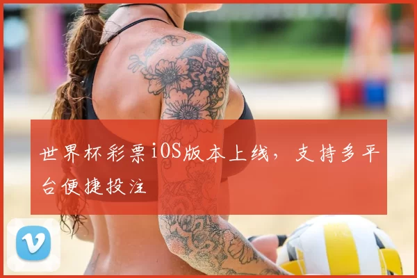 世界杯彩票iOS版本上线，支持多平台便捷投注