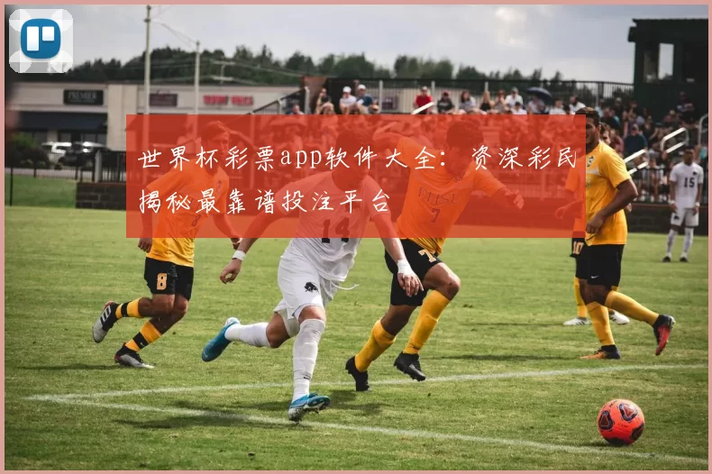 世界杯彩票app软件大全:资深彩民揭秘最靠谱投注平台