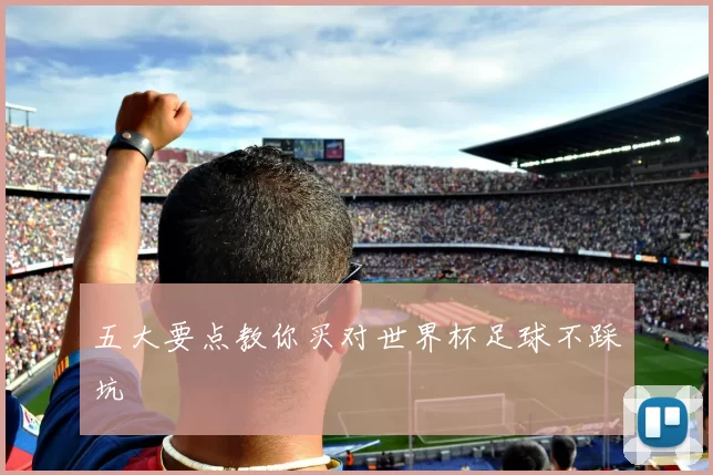 五大要点教你买对世界杯足球不踩坑