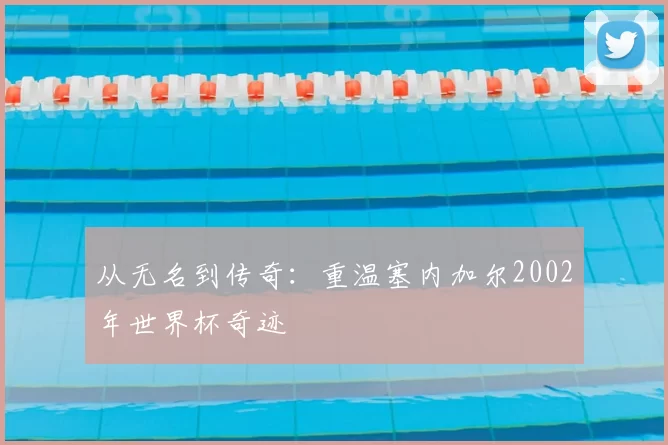 从无名到传奇：重温塞内加尔2002年世界杯奇迹